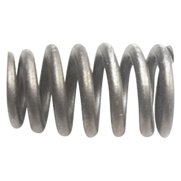 QualCast® - Valve Spring 