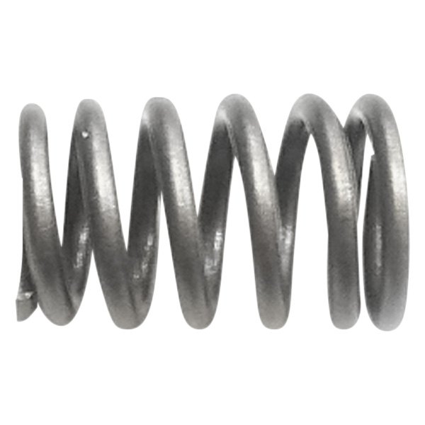 QualCast® - Valve Spring 