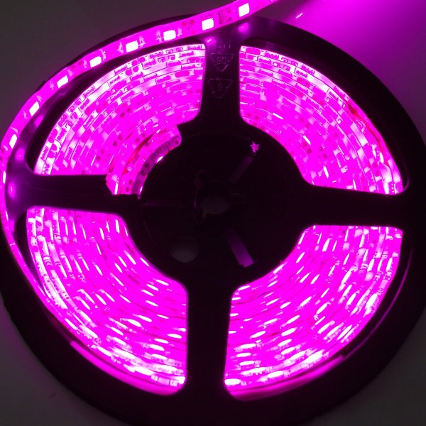  Race Sport® - 36" 3528 Purple LED Strip