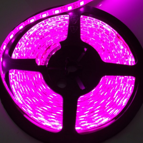  Race Sport® - 108" 3528 Purple LED Strip