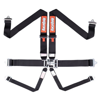 RaceQuip® - Latch & Link 6-Point Seat Belt