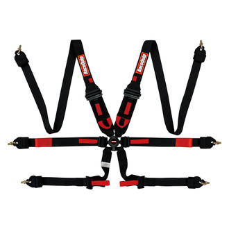 RaceQuip® - FIA Camlock 6-Point Harness