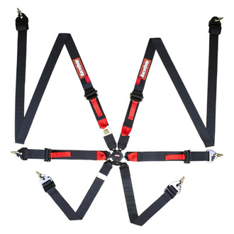 RaceQuip® - FIA Camlock 6-Point Harness