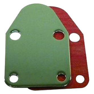 Racing Power Company® - Fuel Pump Block-Off Plate