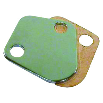Racing Power Company® - Fuel Pump Block-Off Plate