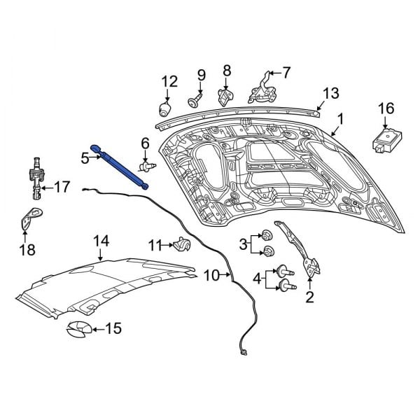 Hood Lift Support