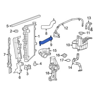 Ram OE - Lower Radiator Coolant Hose