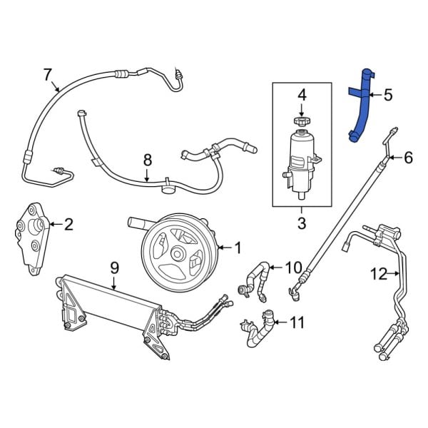 Power Steering Reservoir Hose