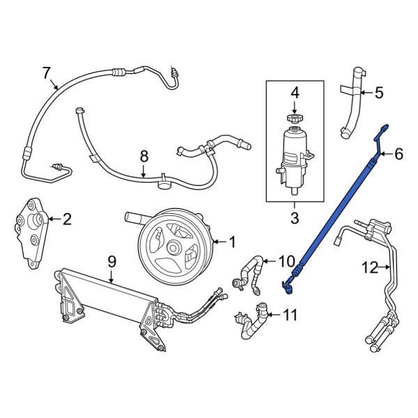 Power Steering Pressure Hose