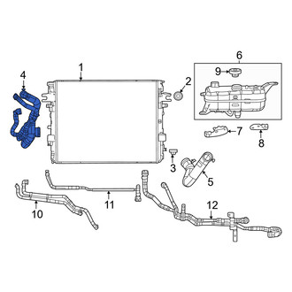 Ram OE - Radiator Coolant Hose