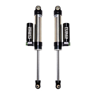 Raptor Series® - Rear Monotube Adjustable Shock Absorbers