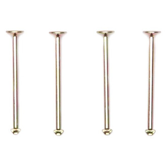 Raybestos® - R-Line™ Rear Drum Brake Shoe Spring Hold Down Pin Set