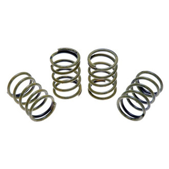 Raybestos® - R-Line™ Rear Secondary Drum Brake Hold Down Springs
