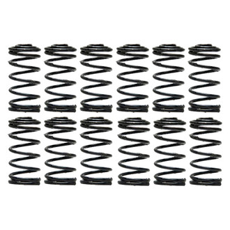 Raybestos® - R-Line™ Primary Drum Brake Hold Down Springs