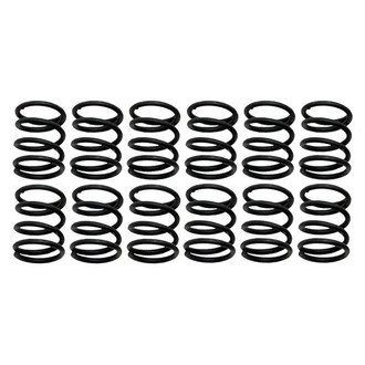 Raybestos® - R-Line™ Brake Hold Down Spring