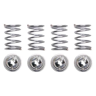Raybestos® - R-Line™ Brake Hold Down Spring