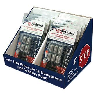 Tire Pressure Monitor with Anti-Theft Locking System