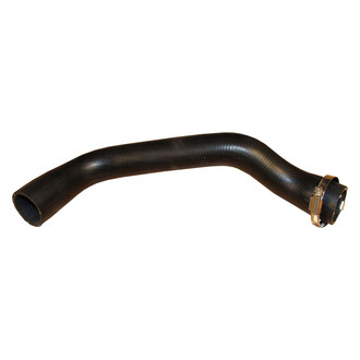 Rein® - Engine Coolant Radiator Hose