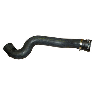 Rein® - Engine Coolant Radiator Hose