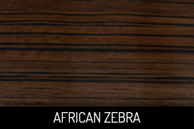 African Zebra