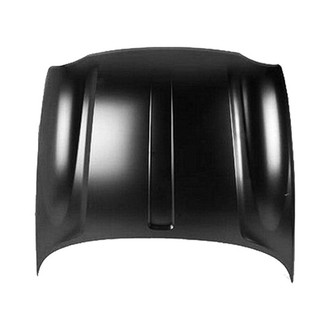 Replace® - Hood Panel