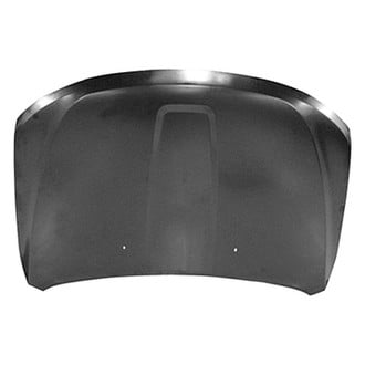 Replace® - Hood Panel (Platinum Plus)