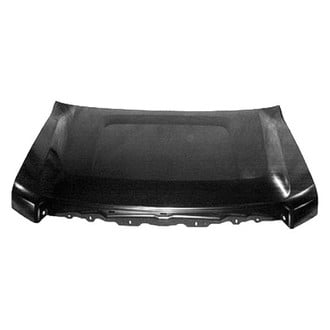 Replace® - Hood Panel (Platinum Plus)