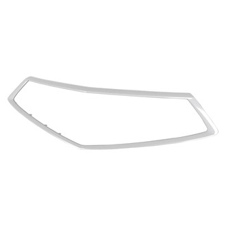 Replace® - Outer Grille Molding (CAPA Certified)