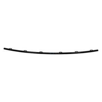 Replace® - Rear Center Bumper Cover Molding (Standard Line)