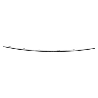Replace® - Rear Center Bumper Cover Molding (Standard Line)