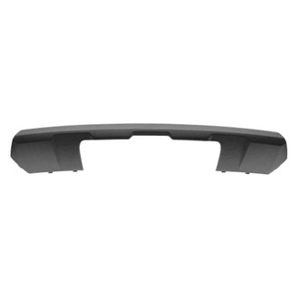 Replace® - Rear Lower Bumper Cover Molding (Standard Line)
