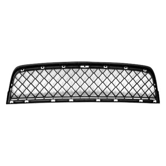 Replace® - Front Lower Center Bumper Grille (Standard Line)