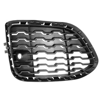 Replace® - Front Passenger Side Fog Light Cover (Standard Line)