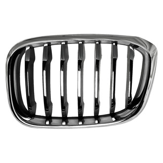 Replace® - Driver Side Grille (Standard Line)