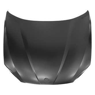 Replace® - Hood Panel (CAPA Certified)
