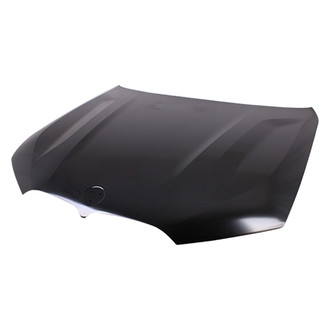 Replace® - Hood Panel (CAPA Certified)