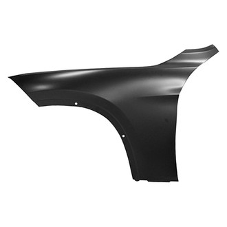 Replace® - Front Driver Side Fender (Standard Line)
