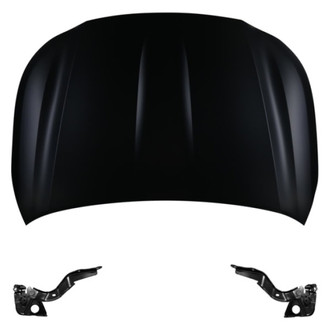 Replace® - 3-Piece (Hood Panel, Driver and Passenger Side Hood Hinge) (Standard Line)
