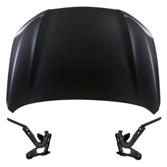 Replace® - 3-Piece (Hood Panel, Driver and Passenger Side Hood Hinge) (Standard Line)