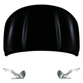 Replace® - 3-Piece (Hood Panel, Driver and Passenger Side Hood Hinge) (Standard Line)