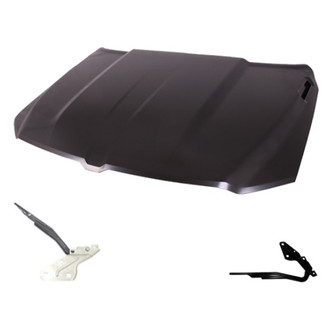 Replace® - 3-Piece (Hood Panel, Driver and Passenger Side Hood Hinge) (Standard Line)