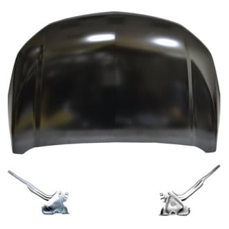 Replace® - 3-Piece (Hood Panel, Driver and Passenger Side Hood Hinge) (Standard Line)