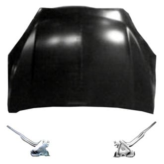 Replace® - 3-Piece (Hood Panel, Driver and Passenger Side Hood Hinge) (Standard Line)