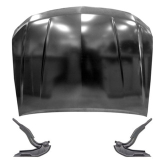 Replace® - 3-Piece (Hood Panel, Driver and Passenger Side Hood Hinge) (Standard Line)