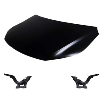 Replace® - 3-Piece (Hood Panel, Driver and Passenger Side Hood Hinge) (Standard Line)