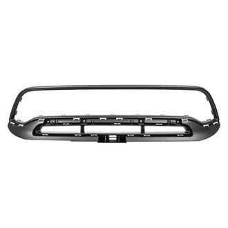Replace® - Grille Molding (Standard Line)