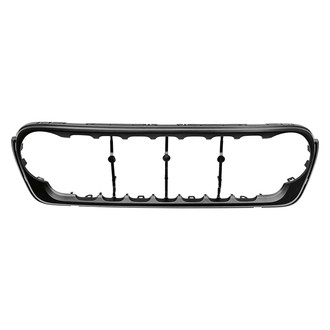 Replace® - Outer Grille Molding (Standard Line)