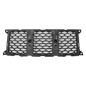 Replace® - Center Grille Molding (Standard Line)