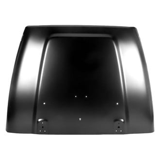 Replace® - Hood Panel (Platinum Plus)