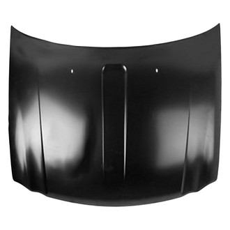 Replace® - Hood Panel (Brand New OE)